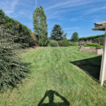 Jardin vert tondu