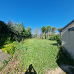 jardin avant